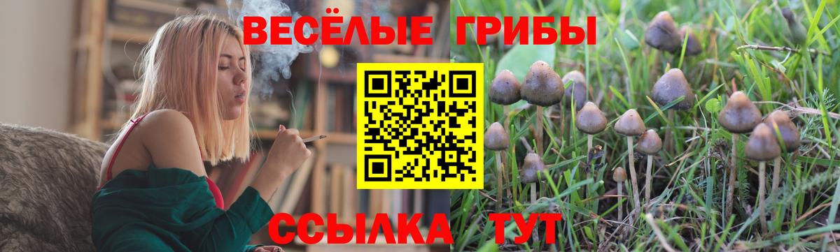 Галлюциногенные грибы MAGIC MUSHROOMS Ханты-Мансийск